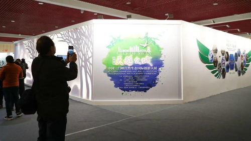 第十三届中国摄影艺术节展览 推精品出力作 燃 动天鹅之城